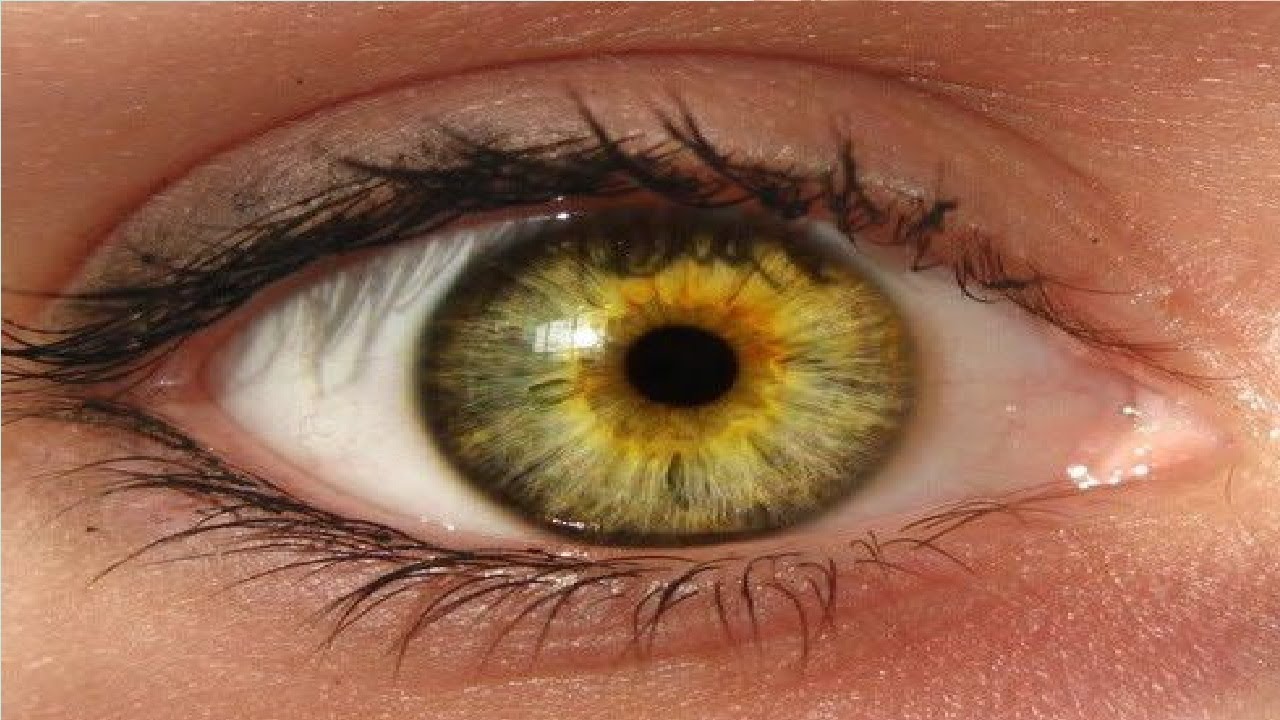 Ir atspēkots mīts, ka acu vingrinājumi palīdz atjaunot redzi