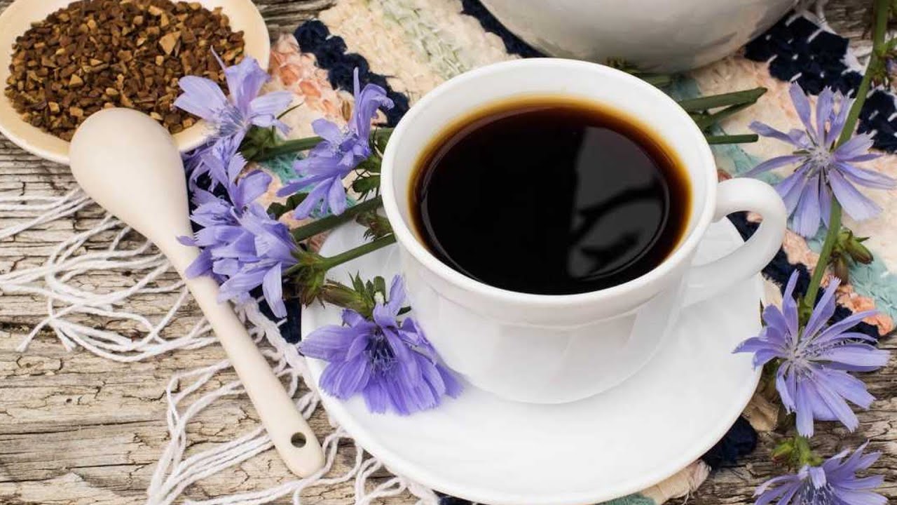 Cikorie: dzēriena, kas aizstāj kafiju, lietderība un kaitīgums