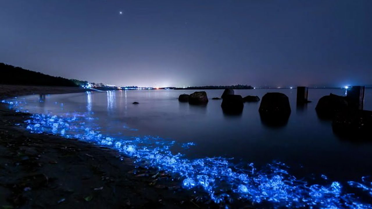 Punta del Este tūristus apburzina jūras fosforescences fenomens: kas tas ir un kur to var redzēt.