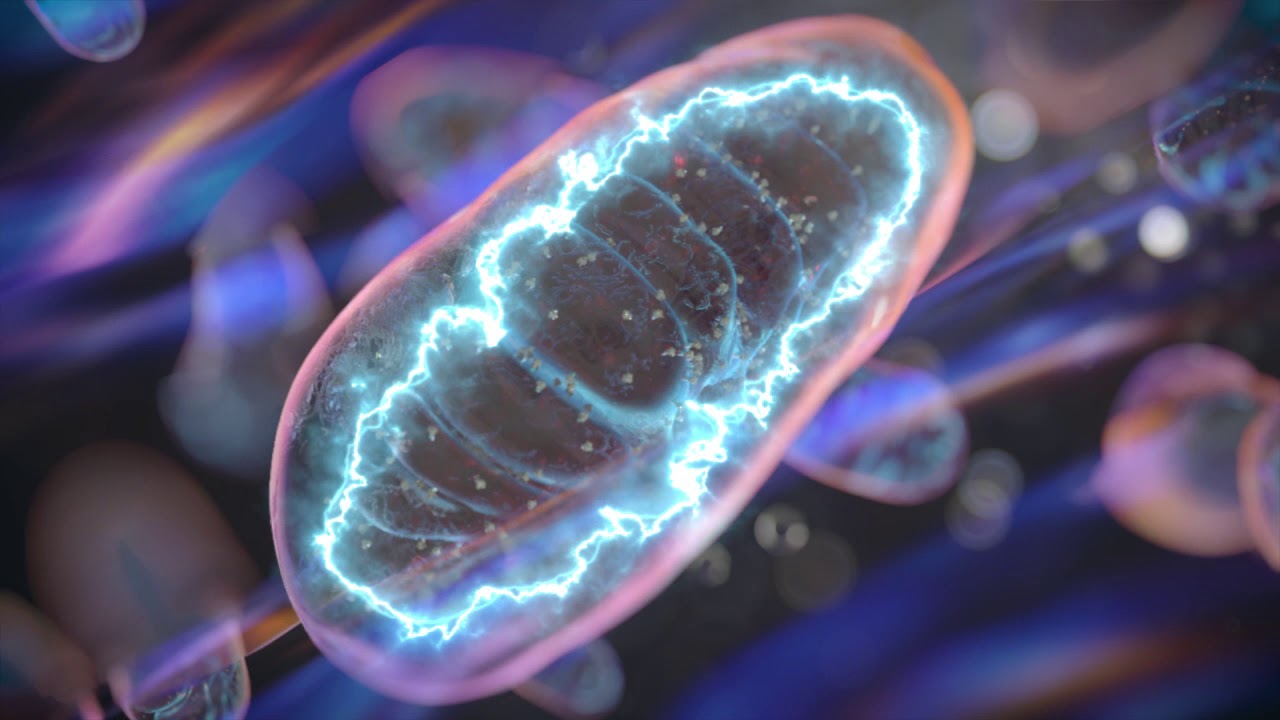 Dzīvās šūnas var ražot elektrību no kustības