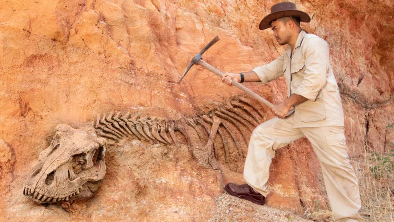 Dinozauri izrādījās pavisam atšķirīgi no tā, kā mēs tos iedomājāmies: Amerikas Savienotajās Valstīs atrasts miljoniem gadu vecs fosilija, kas liek pārrakstīt vēsturi.