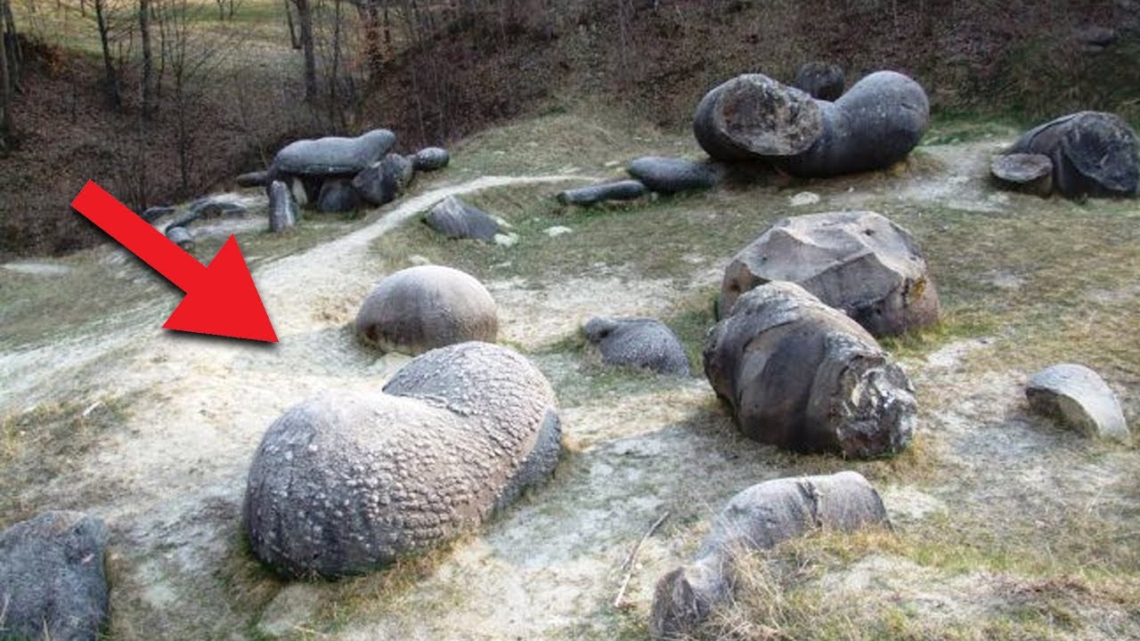 Dienvidāfrikā atklāti „dzīvi akmeņi”, kas aug. Un tie varētu atrisināt vienu no pasaules lielākajām problēmām.