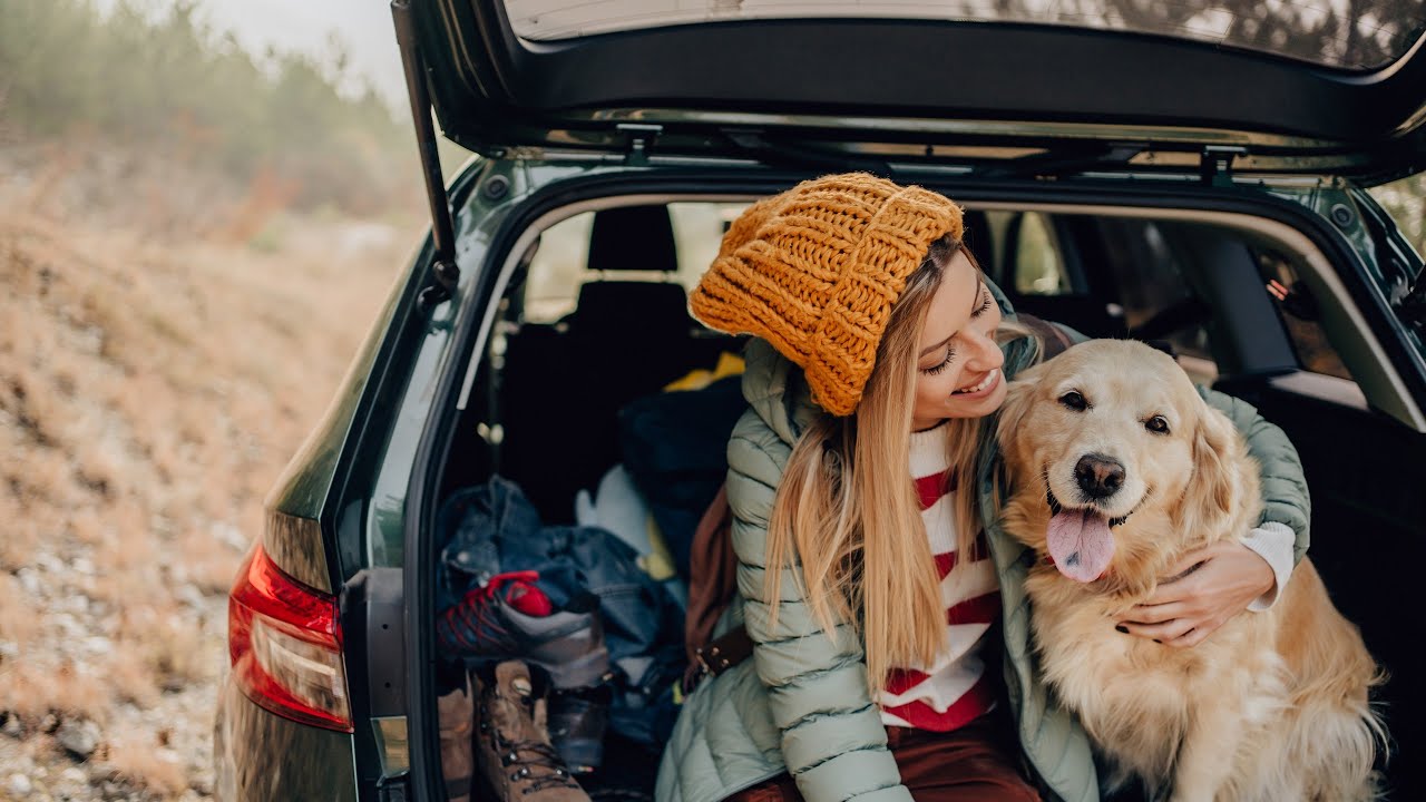 7 padomi ceļošanai ar suņiem un kaķiem no ekspertiem.