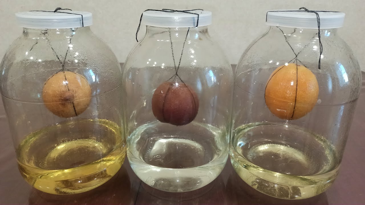 Citronu miziņas sajaukšana ar alkoholu un pārtikas sodu: kāpēc tas ir noderīgi un kāpēc tas ir ieteicams?