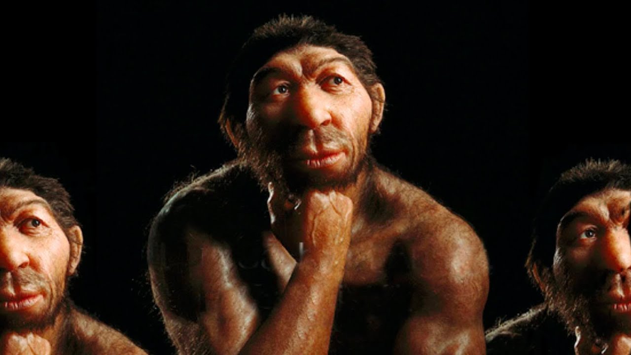 Vai neandertāliešu deguni bija labāk pielāgoti aukstumam nekā Homo sapiens?