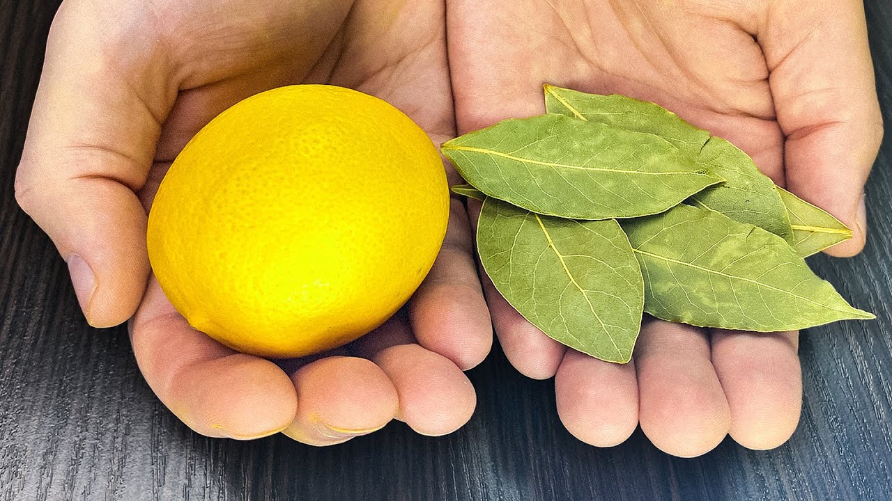 Citronu miziņas, lauru lapu un rozmarīna vārīšana: kāpēc tas ir ieteicams un kāpēc tas ir noderīgi.