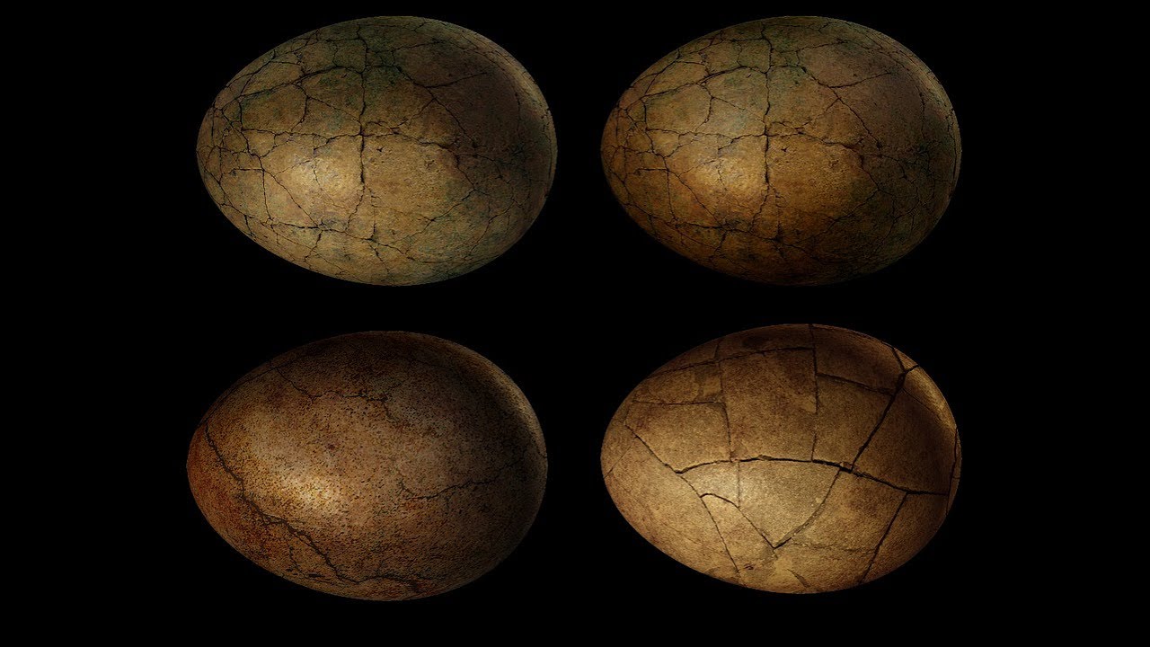 Arheologi nevar noticēt: Spānijā atrastas 72 miljonus gadu vecas dinozauru olas.