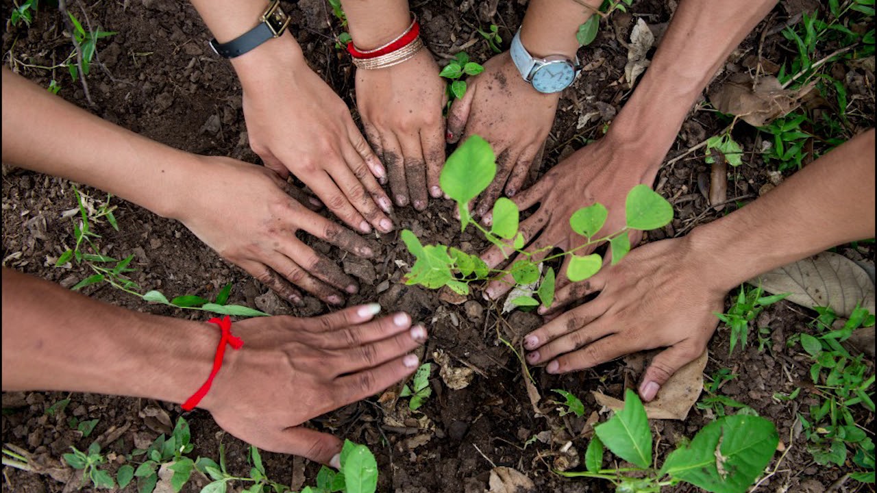 Ginesa rekordu grāmata apstiprināja Trufenas rekordu maratonā, kas ilga 48 stundas un bija veltīts koku aizsardzībai.