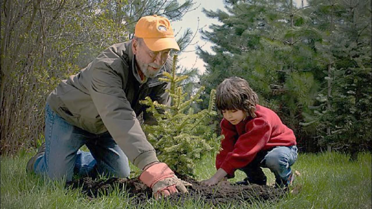 Ginesa rekordu grāmata apstiprināja Trufenas rekordu maratonā, kas ilga 48 stundas un bija veltīts koku aizsardzībai.