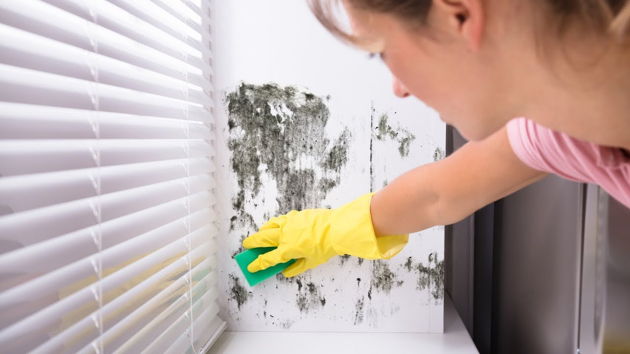 Mājas maisījums, kas izraisījis revolūciju cīņā pret melno pelējumu: daudz efektīvāks par pārtikas sodu.