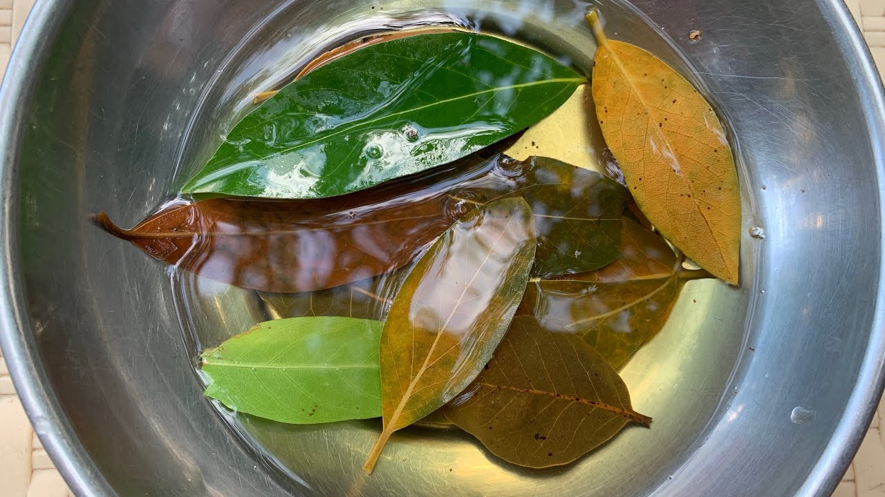 Kāpēc sajaukt lauru lapu un pārtikas sodu, un kādam nolūkam to izmanto?