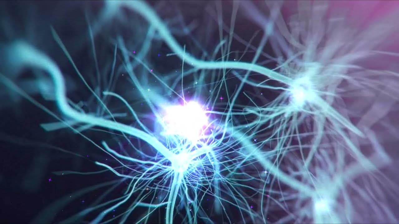 Kā vide var ietekmēt lēmumu pieņemšanu un veicināt kaitīgu ieradumu veidošanos, saskaņā ar neirobioloģiju.