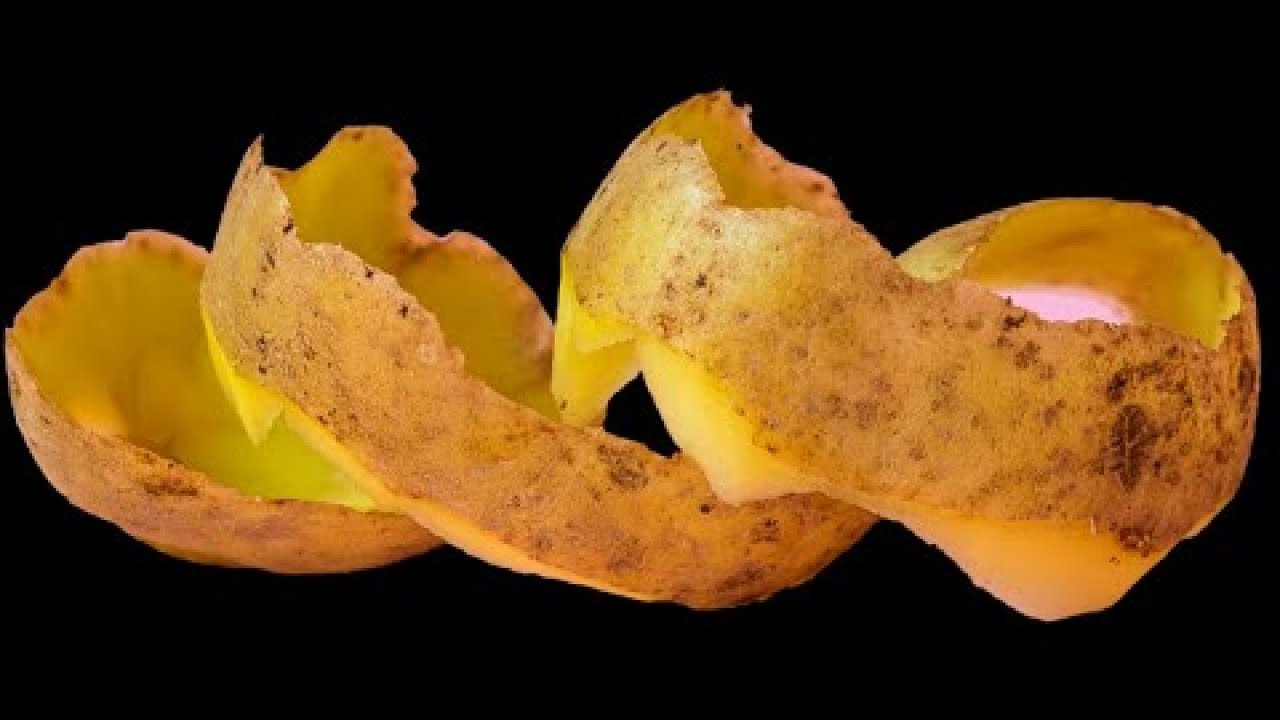 Saglabājiet kartupeļu mizas: kā tās atkārtoti izmantot dārzā un kādas priekšrocības tās sniedz.