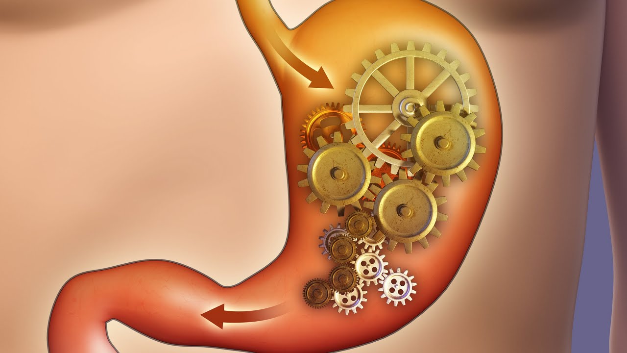 Labas gremošanas noslēpumi, neskatoties uz pārmērībām atvaļinājuma laikā.