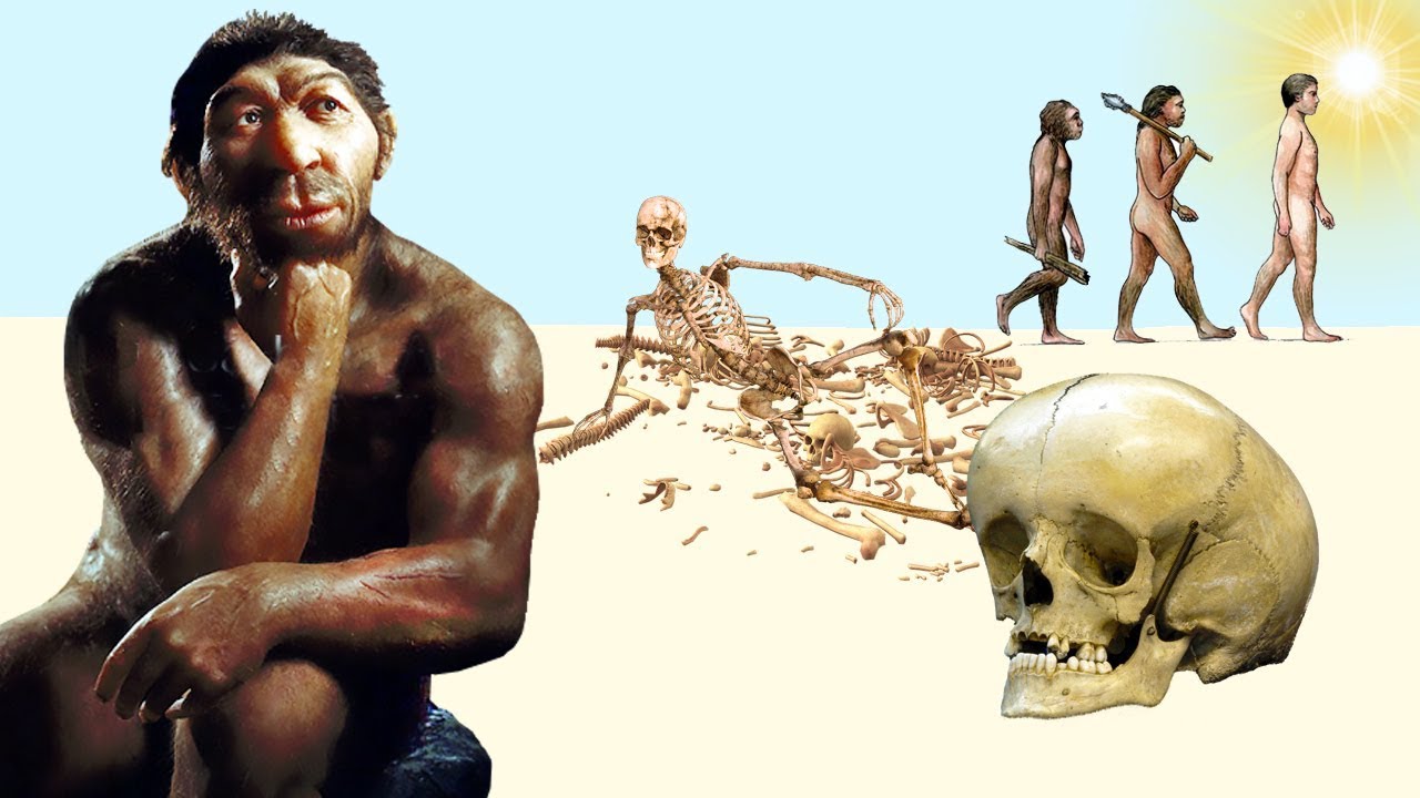 Cilvēces evolūcija nav sasniegusi to līmeni, ko mēs esam radījuši. Jauns pētījums izskaidro, kāpēc mūsu ķermeņi ir iestrēguši paleolītā, kamēr mūsdienu dzīve izraisa hronisku stresu un bioloģisko degradāciju.