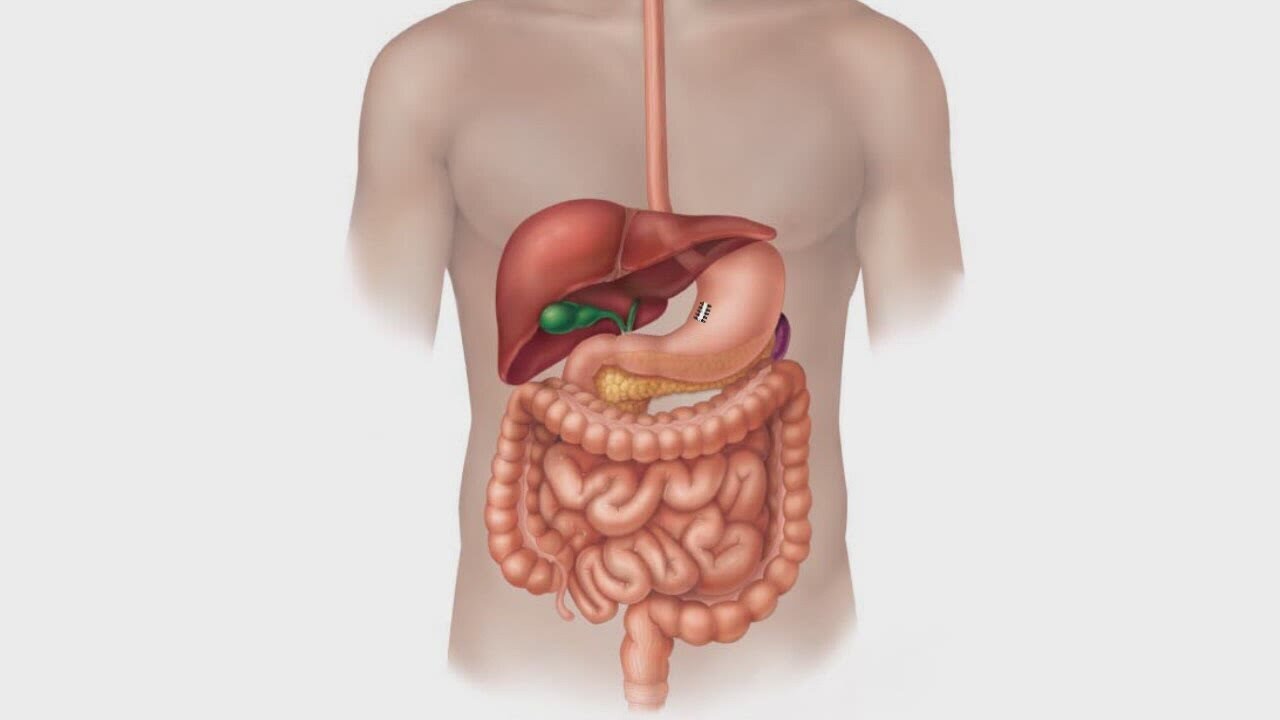 Labas gremošanas noslēpumi, neskatoties uz pārmērībām atvaļinājuma laikā.