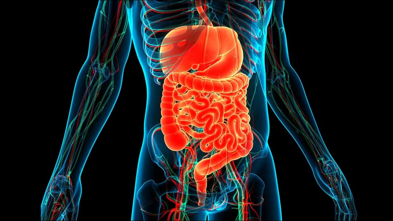 Labas gremošanas noslēpumi, neskatoties uz pārmērībām atvaļinājuma laikā.