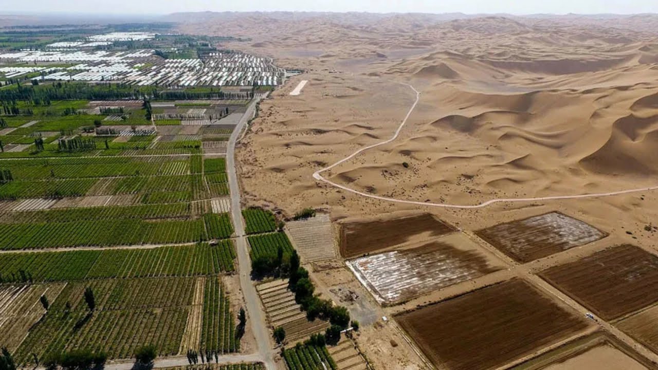 Zinātnieki nevar tam noticēt: Ķīna ir iestādījusi tik daudz koku, ka 20 gadu laikā ir mainījusi ūdens apriti dabā.