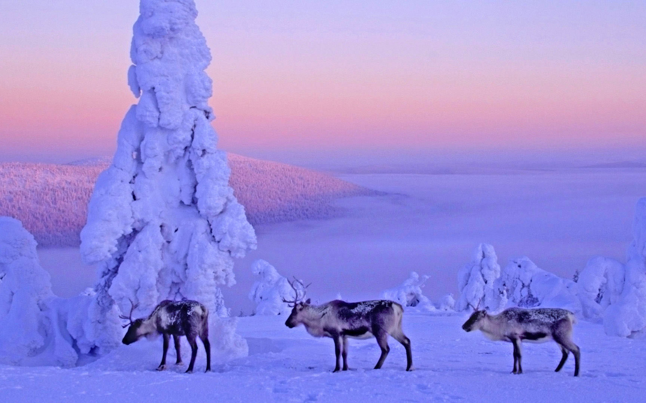 Pirmdien Latvijā sāka darboties pavisam īpašs televīzijas kanāls.