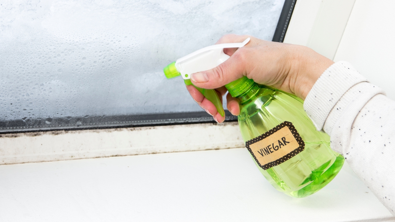 Kāds ir etiķa izmantošanas mērķis logu sliedes tīrīšanai?