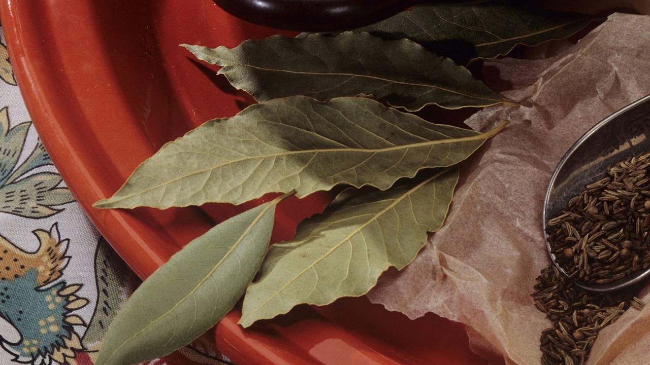 Kur mājā var novietot lauru lapas, lai piesaistītu veiksmi un atbaidītu prusakus?