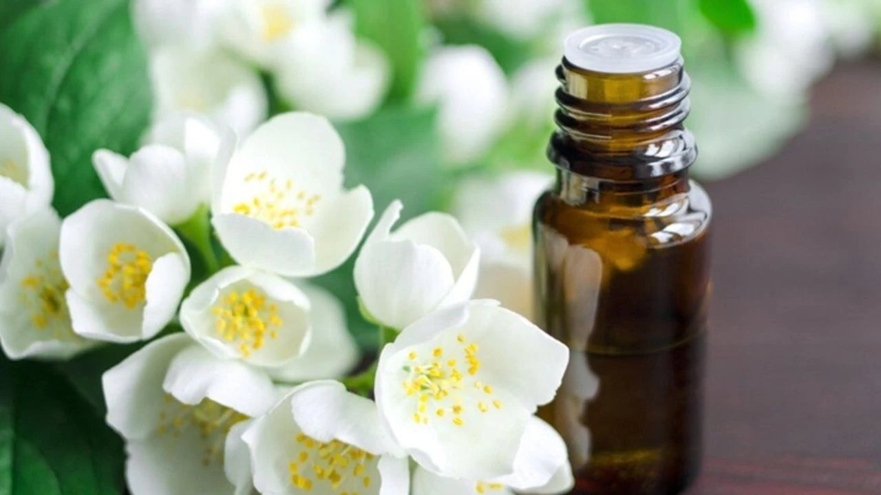 Kā pagatavot garšīgākos mājas smaržus