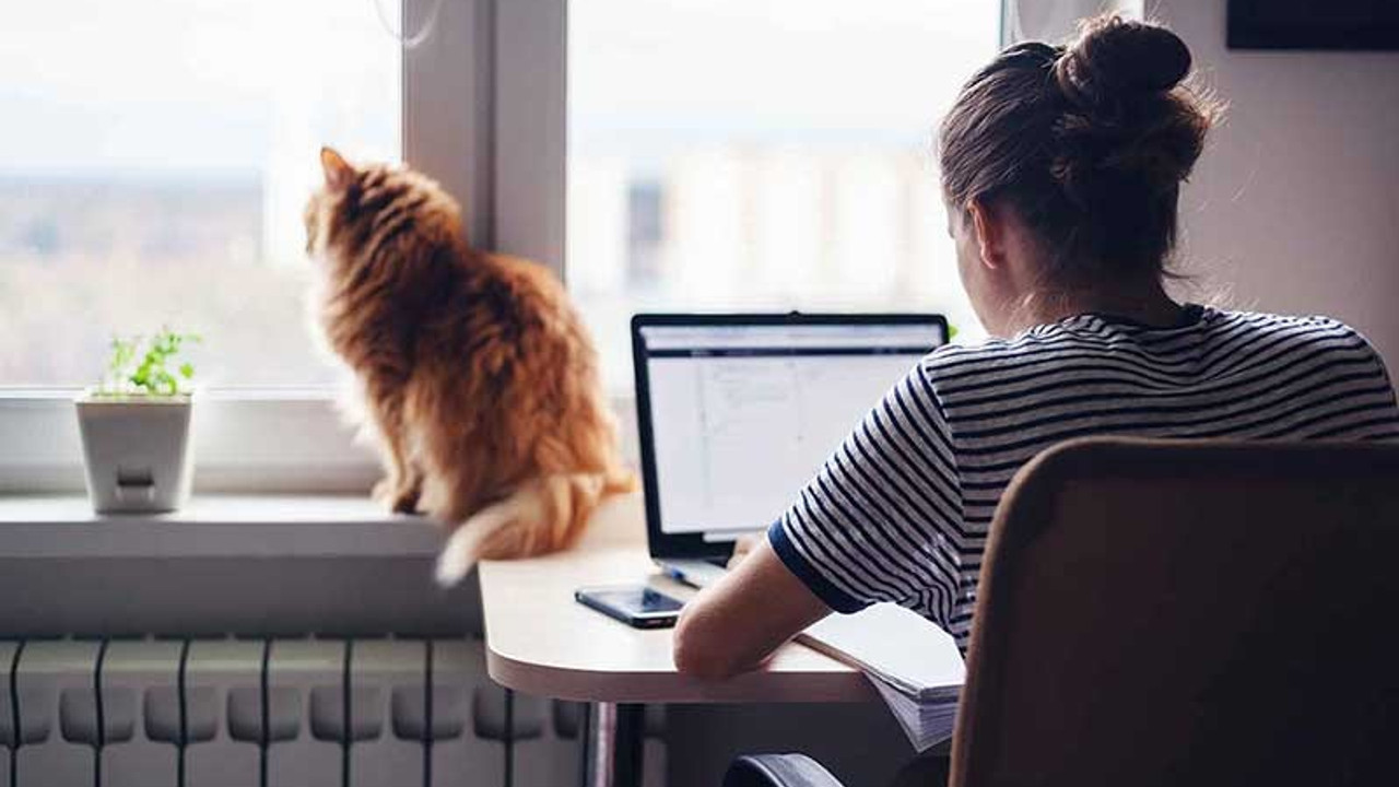 Mājkalpotājs: darba devēja pienākumi un maksājumu apmērs 2026. gada janvārī.