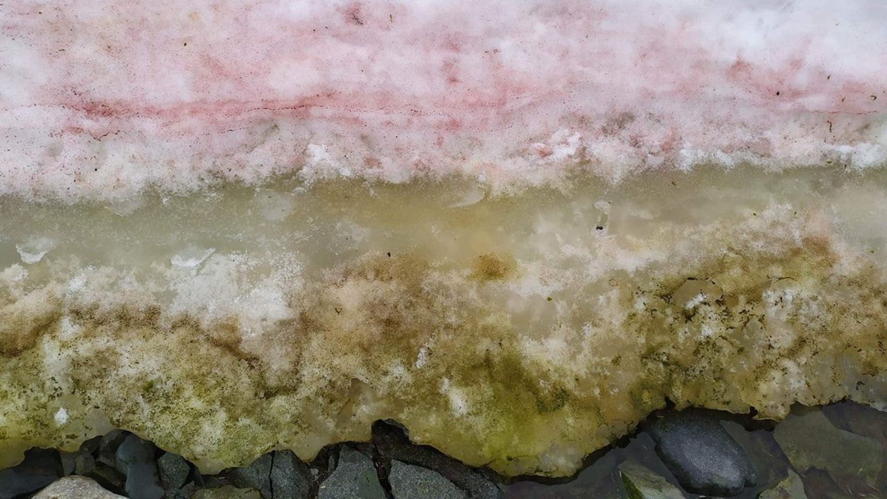 Zinātnieki zem Antarktīdas ledus atklāja kaut ko, ko viņi nekad nebūtu varējuši iedomāties — objektu, kas ir vairāk nekā 34 miljonus gadu vecs.