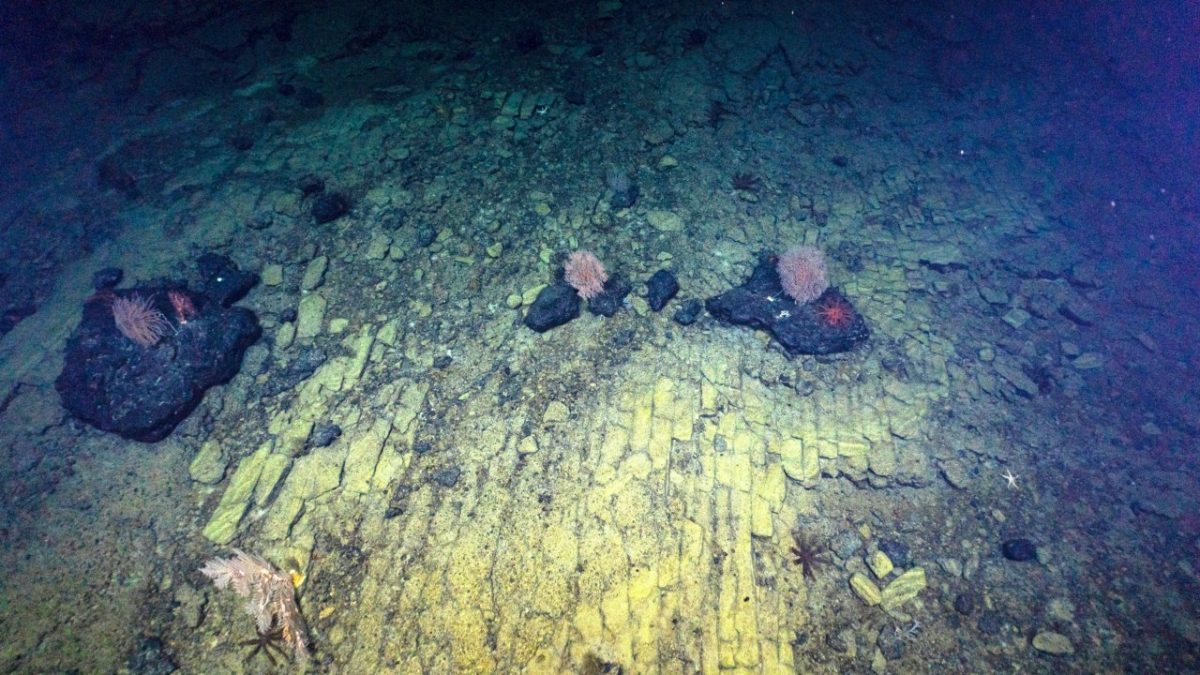 Gadsimta atklājums: desmitiem tonnu zelta atklāšana 2000 metru dziļumā zem ūdens, un tas viss — vienā provincē.