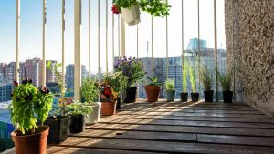 Rozmarīna zaru novietošana pie balkona ieejas: kāpēc tas ir nepieciešams un kāpēc tas ir ieteicams.