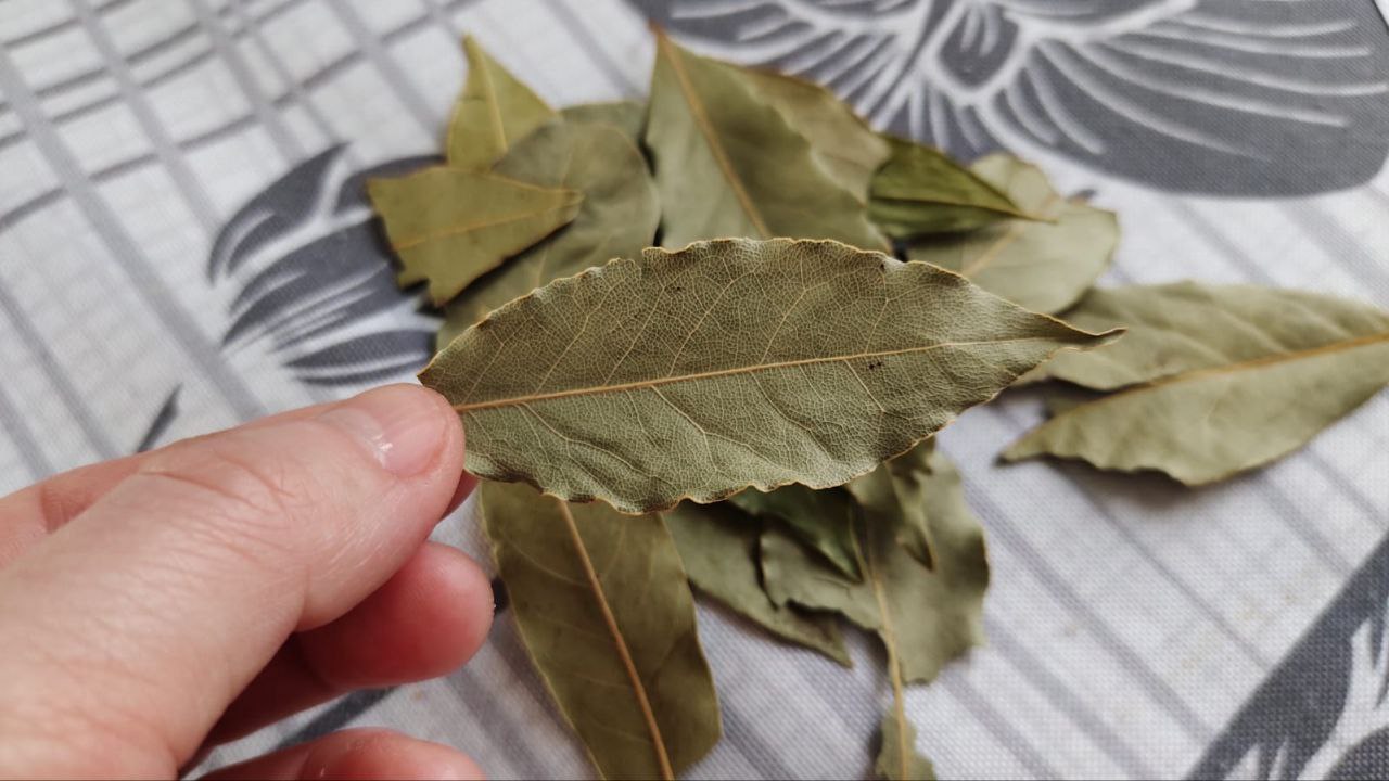 Kāpēc etiķis ar lauru lapu ir neaizstājams palīgs ikdienas uzkopšanā