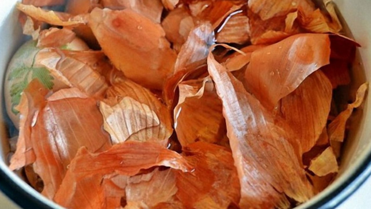 Ikvienam, kam mājās ir sīpolu mizas, rokās ir īsts dārgums: kā tās var izmantot?