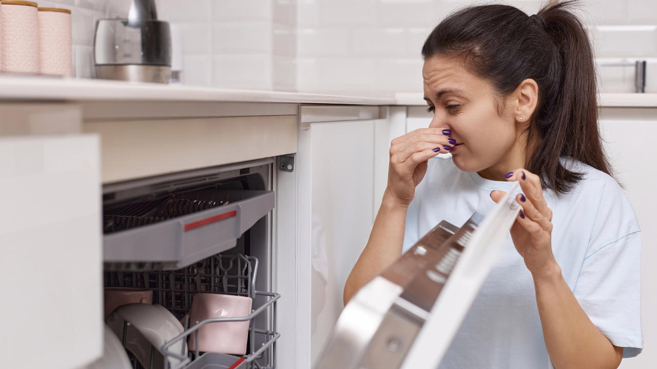 Kā nodrošināt trauku mazgājamās mašīnas nevainojamu darbību Ziemassvētkos: tauku un nepatīkamu smaku noņemšana.