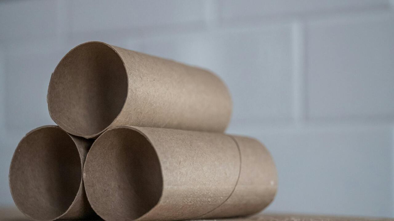 Atvadieties no žurkām: kā no tām atbrīvoties, izmantojot kartona tualetes papīra ruļļus un bez indes.