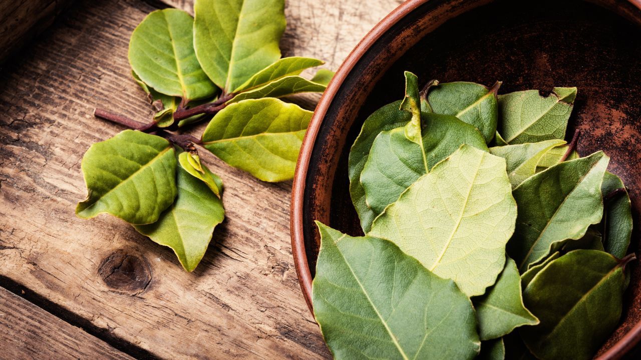 Lauru lapa ir pilna ar sāli — visu janvāri es būšu apmierināta ar savu viltību: noderīgs padoms visām saimniecēm.