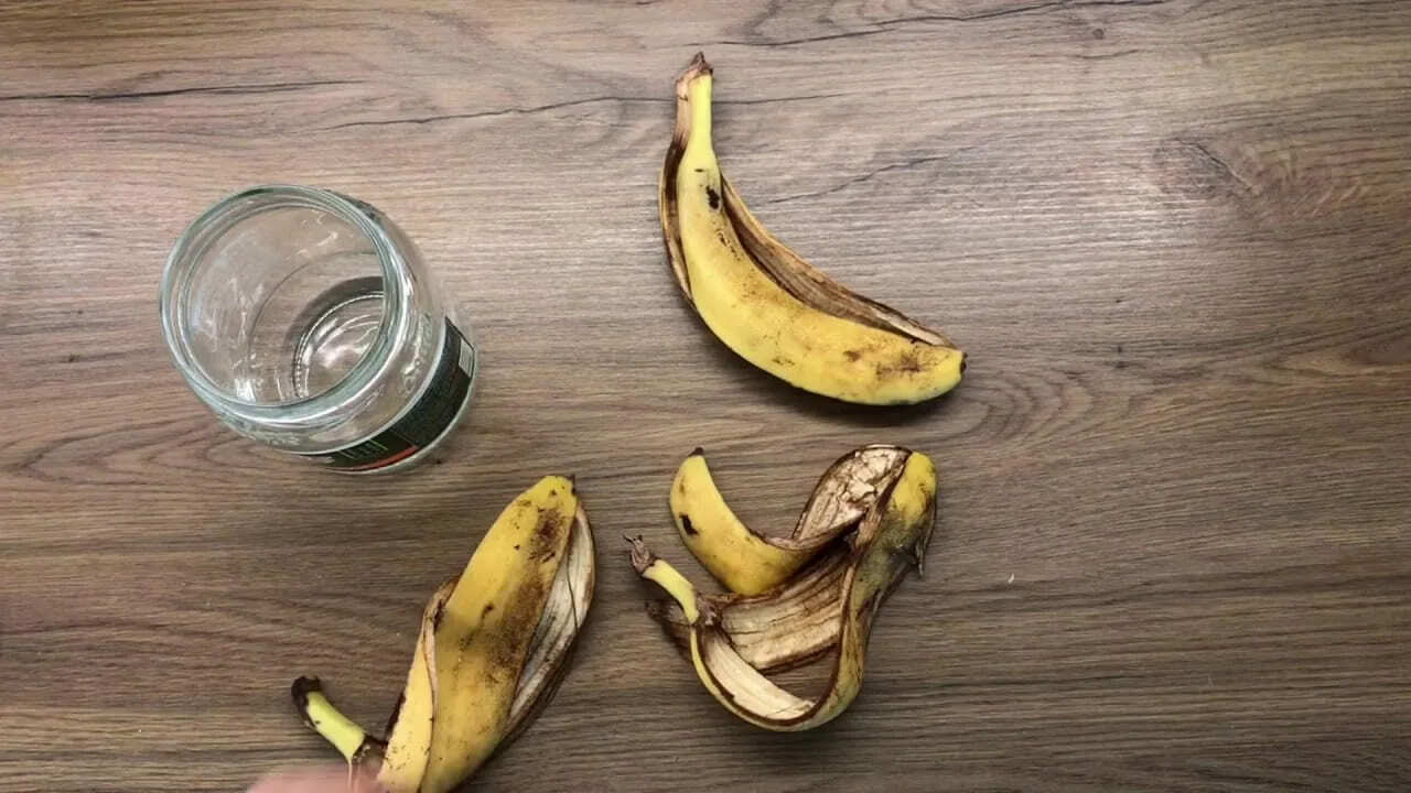 Banānu mizu un ūdens sajaukšana burkā: kāpēc tas ir nepieciešams un kāpēc tas ir ieteicams?