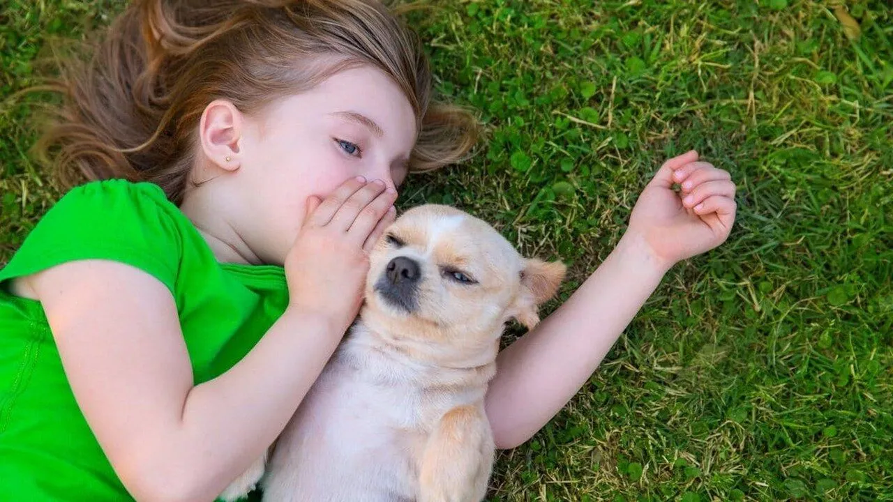Kas no psiholoģijas viedokļa nozīmē runāt ar mājdzīvniekiem tā, it kā tie būtu cilvēki?