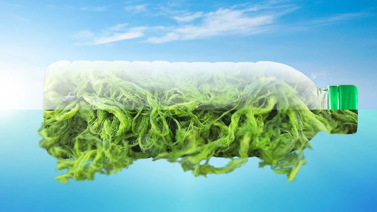 Šajā valstī apgalvo, ka ir izstrādāts materiāls, kas risina galvenās plastmasas problēmas.