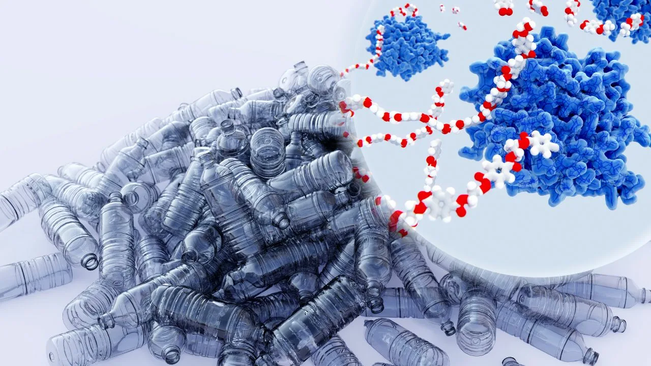 UNAM pētnieki ir atklājuši baktērijas, kas spēj sadalīt plastmasu rekordīsā laikā.