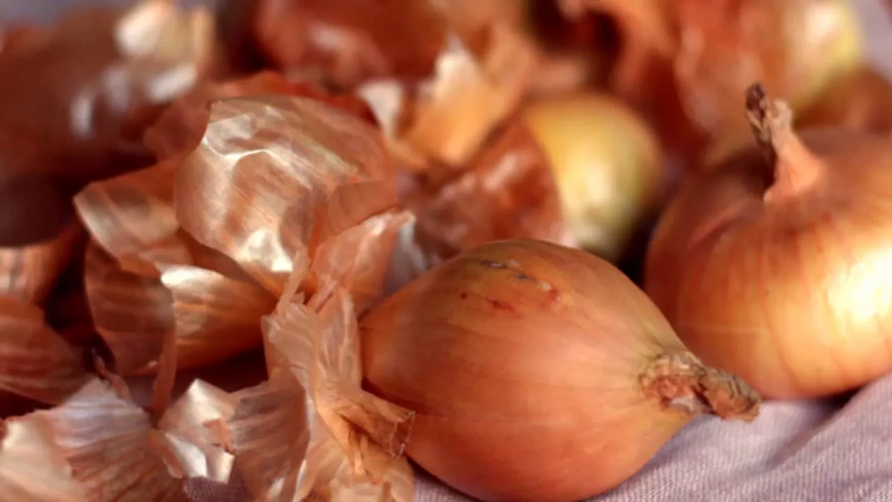 Ikvienam, kam mājās ir sīpolu mizas, rokās ir īsts dārgums: kā tās var izmantot?