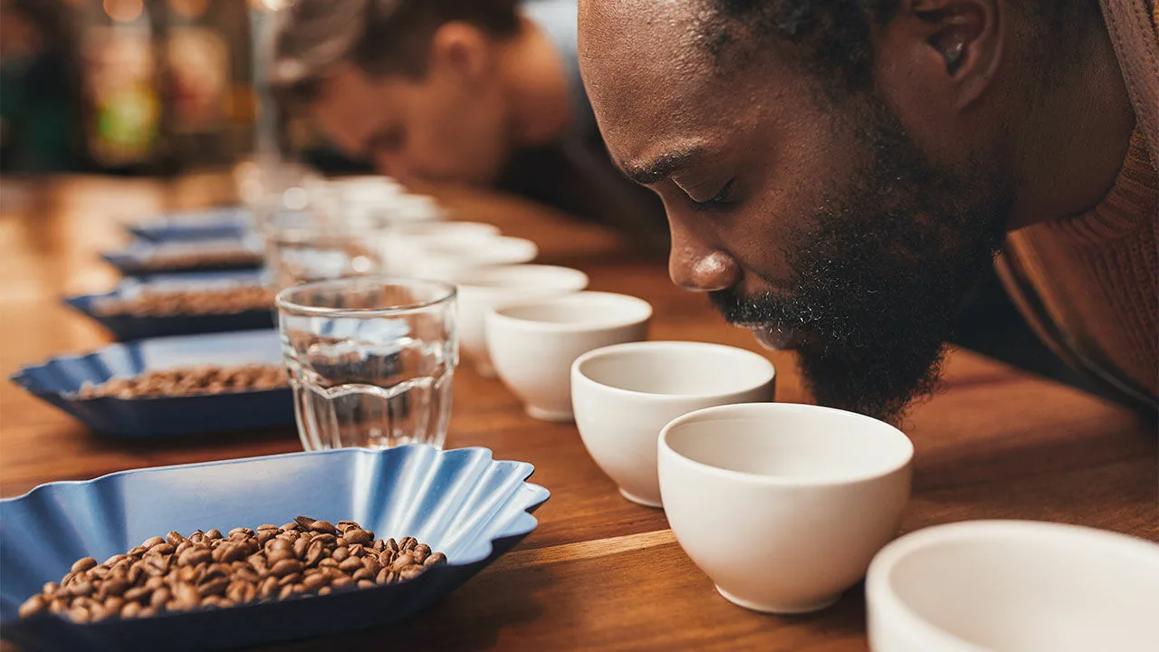 Viņi testēja kafiju. Uzvarētā šķirne tiek pārdota Polijā.