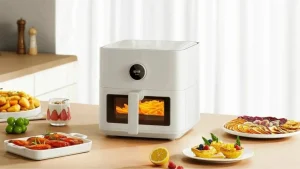 Šajā valstī visi ir sajūsmā par aerogrilēm. Šeit ir redzams, cik daudz elektroenerģijas tas patērē.