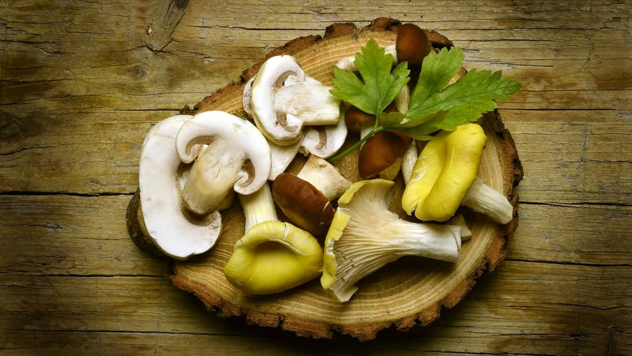 Nākotnes datori ir atraduši negaidītu sabiedroto informācijas uzglabāšanai: sēnes.