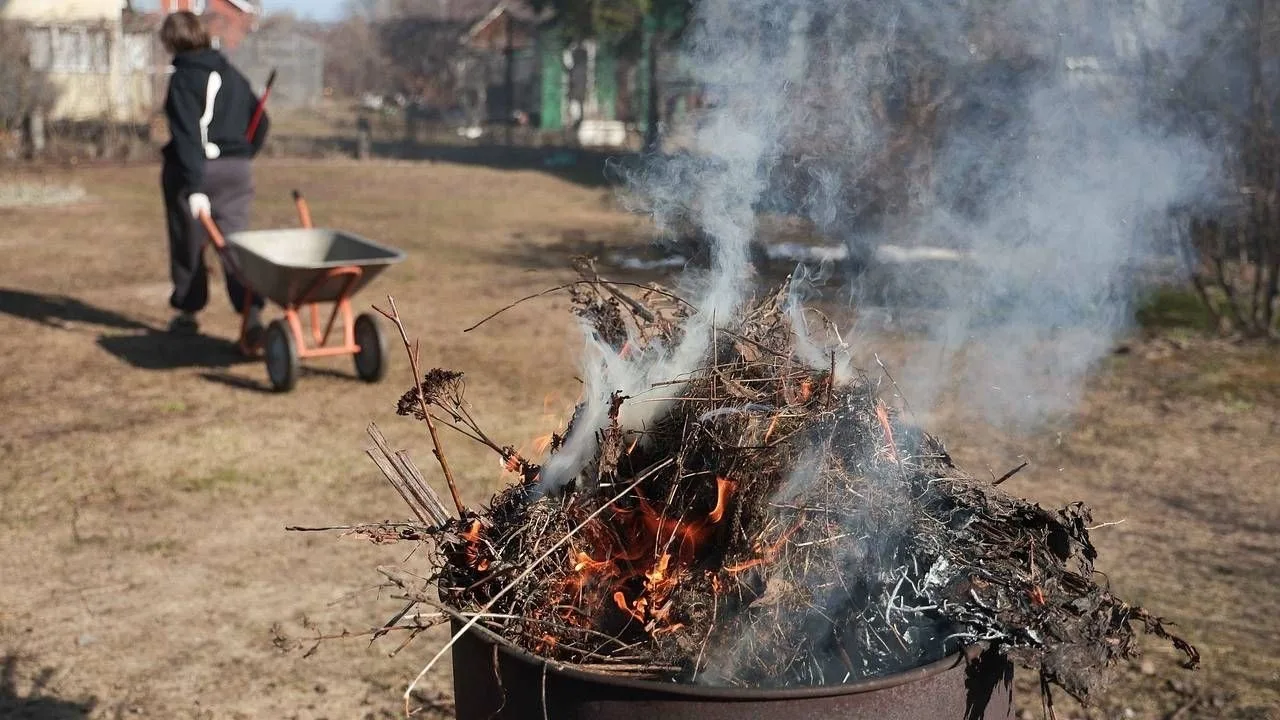 Nekapājiet, nededziniet, neindējiet augsni. Tā dārznieki izmanto celmus.