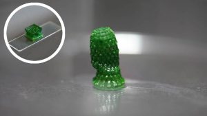 Šī valsts apgalvo, ka ir izveidojusi „dzīvu” būvmateriālu: tas elpo, aug un pašatjaunojas.