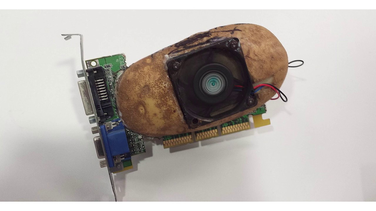 Nākotnes datori ir atraduši negaidītu sabiedroto informācijas uzglabāšanai: sēnes.