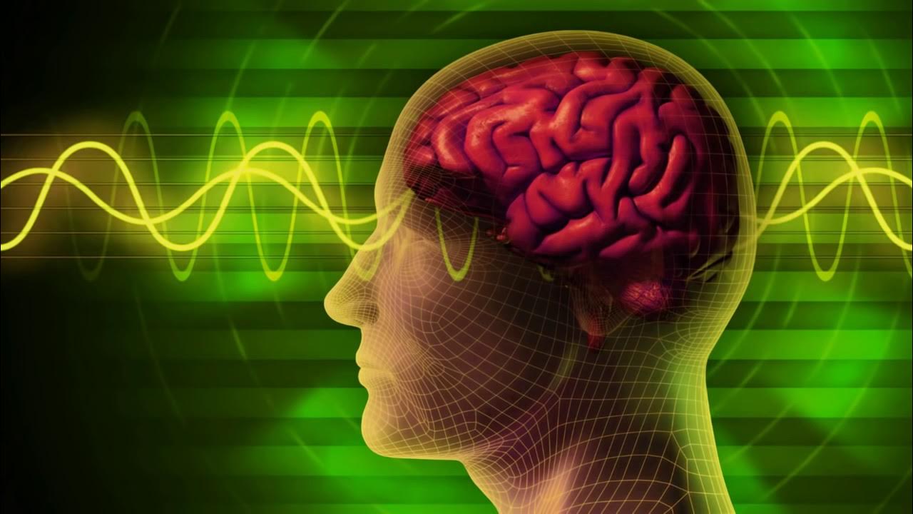 Kā dabiskais apgaismojums ietekmē koncentrēšanās spējas un kognitīvās spējas