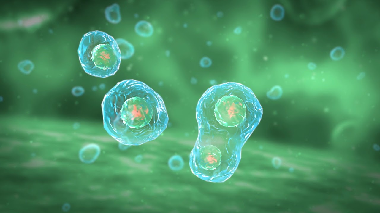 Bioloģijas beigas: zinātnieki ir atklājuši evolūcijas paradoksu, kas maina mūsu priekšstatus par šūnām.