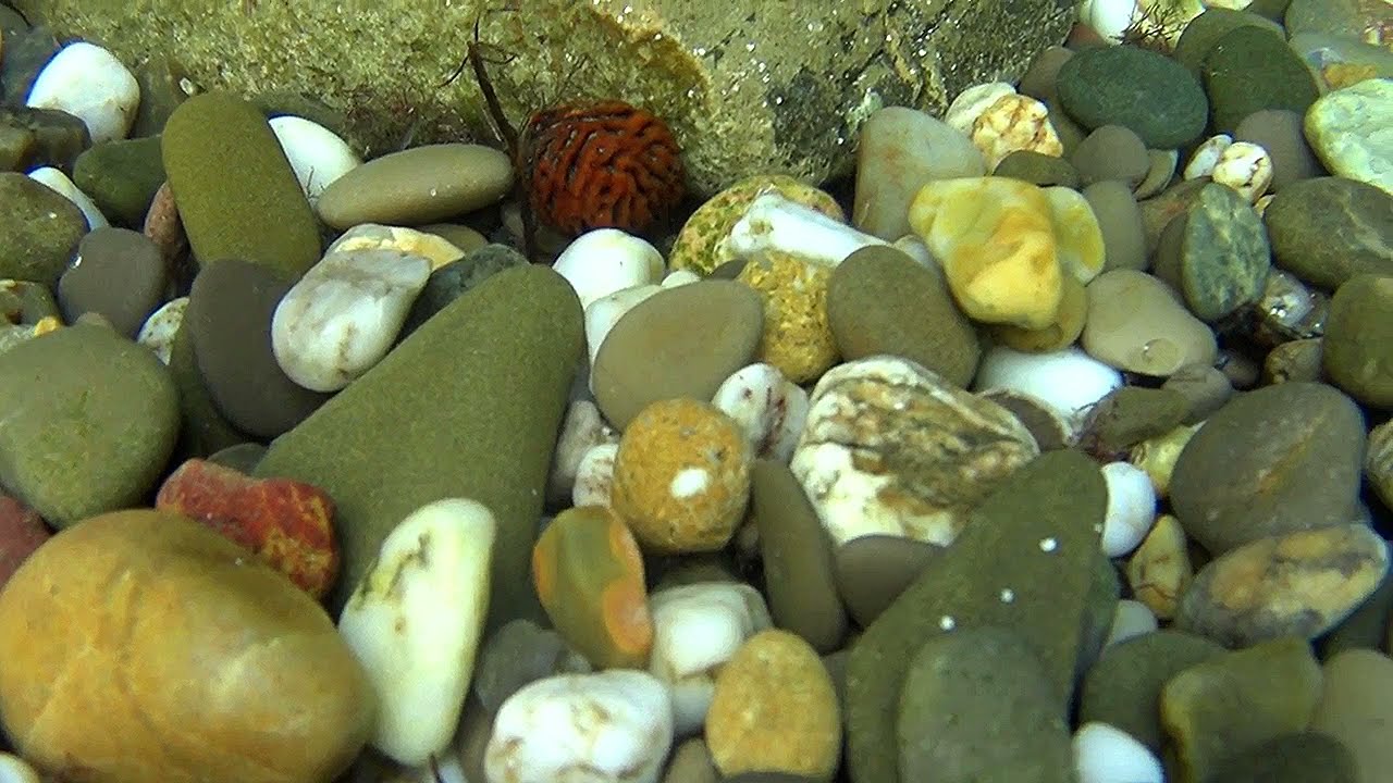 Gadsimta atklājums: desmitiem tonnu zelta atklāšana 2000 metru dziļumā zem ūdens, un tas viss — vienā provincē.