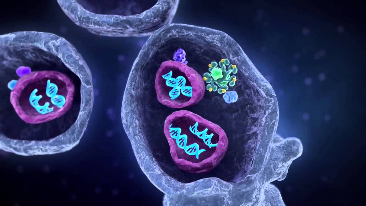 Bioloģijas beigas: zinātnieki ir atklājuši evolūcijas paradoksu, kas maina mūsu priekšstatus par šūnām.